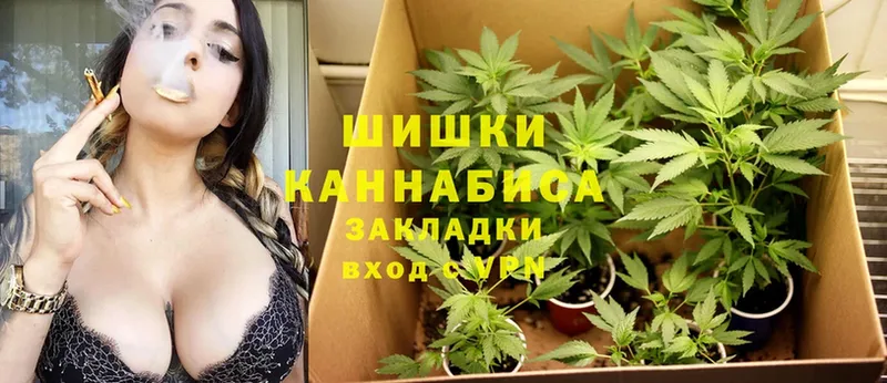 купить закладку  Отрадное  МАРИХУАНА OG Kush 